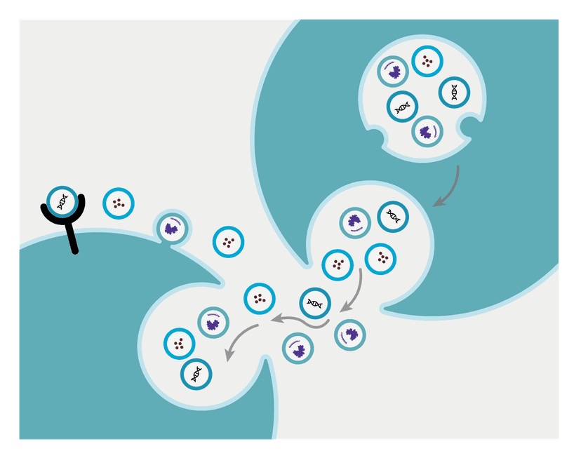 Exosome Technology